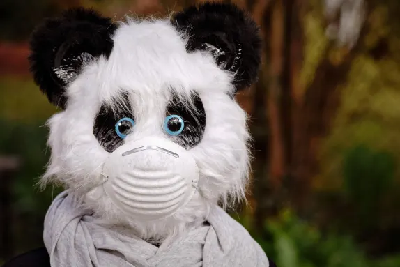 Casino Mars Bet Podrška